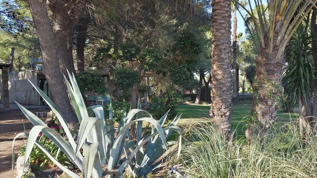 Tenuta Terenzano Torre San Giovanni Ugento Bagian luar foto