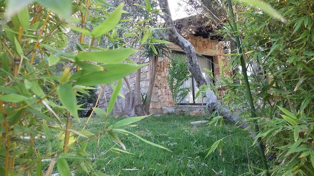 Tenuta Terenzano Torre San Giovanni Ugento Bagian luar foto