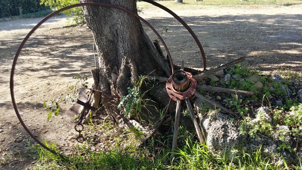 Tenuta Terenzano Torre San Giovanni Ugento Bagian luar foto